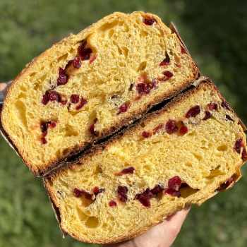 Cea mai pufosă panettone cu merișoare