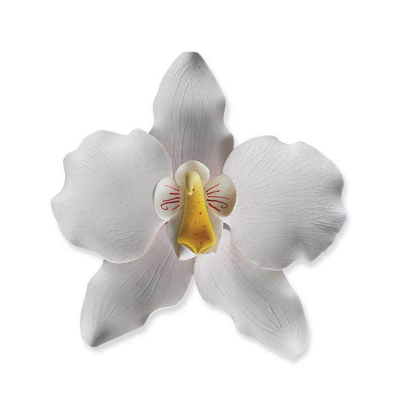 Floare din pasta de zahar, orhidee alba, 12 cm, Sugart