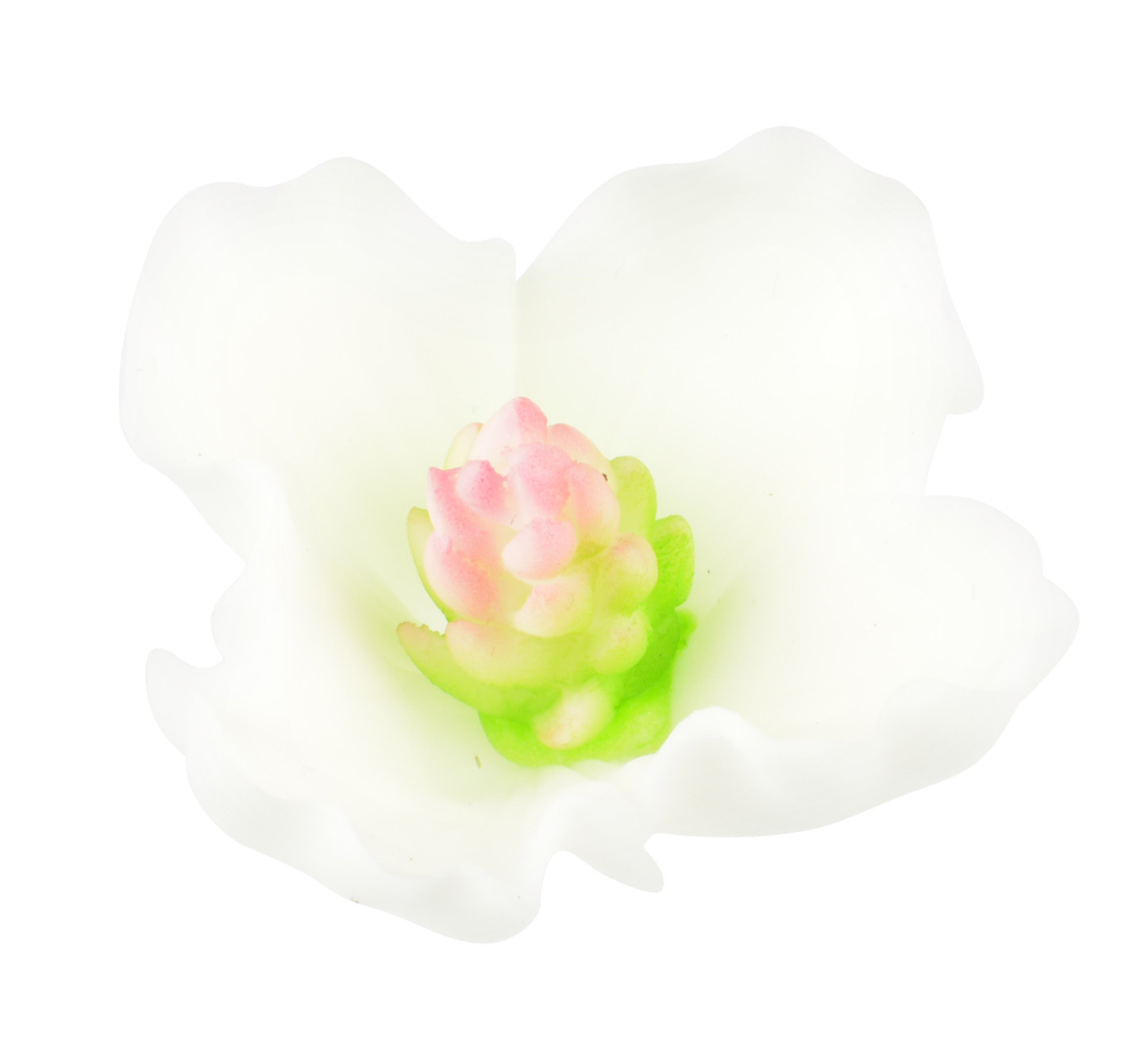 Decoratiuni din zahar flori - Nalbă alba 053100 PJT set 26 buc