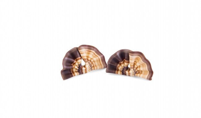 Decoratiuni din ciocolata FAN/WACHLARZE MARBLE 6001 1 KG BARB