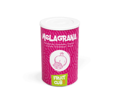 Fruit cube gelato Rodie 1,55KG 345130 LGL