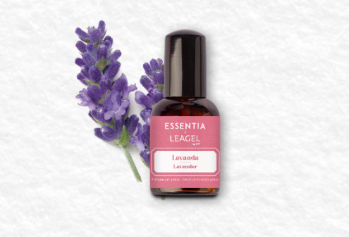 Parfum Comestibil pu Gelato-Lavanda 50ml 453007 LGL