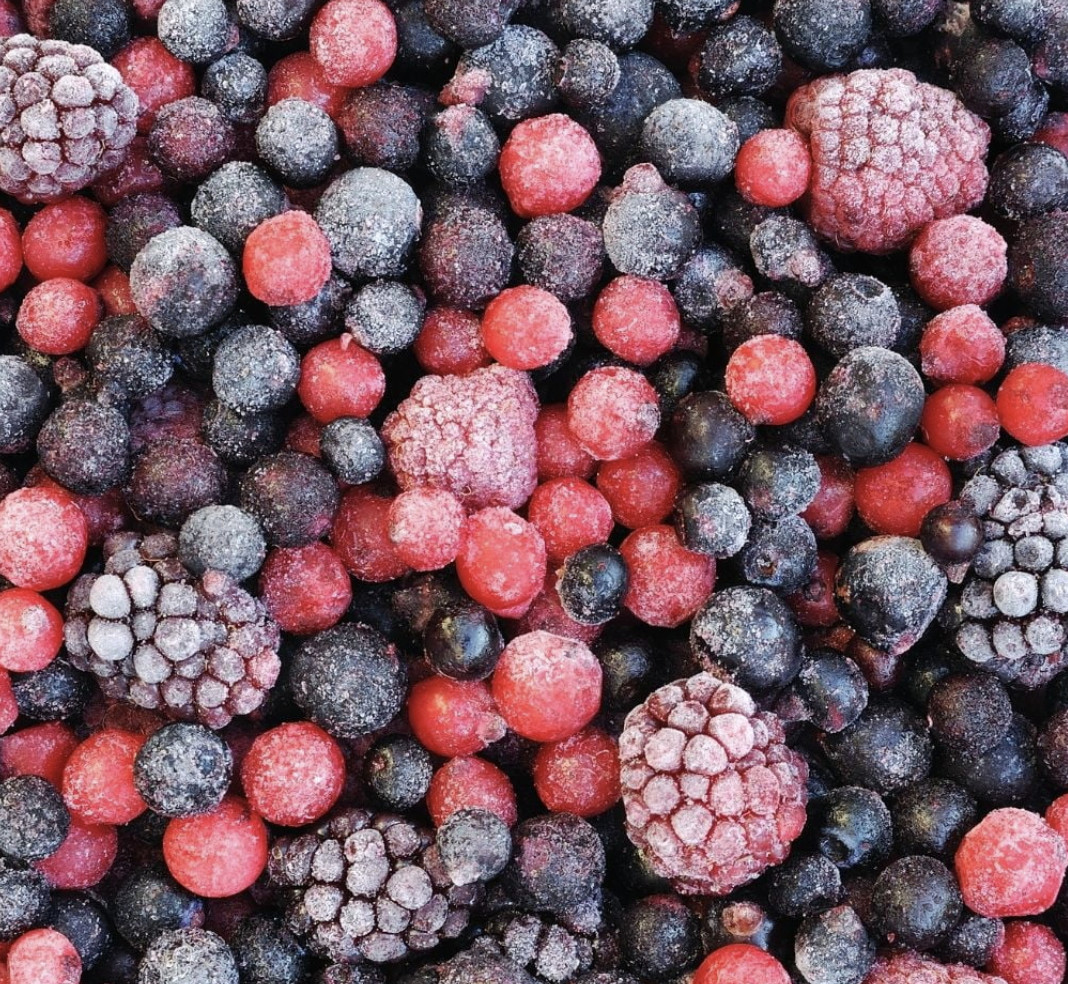 Mix de fructe congelat 2,5 kg BDE